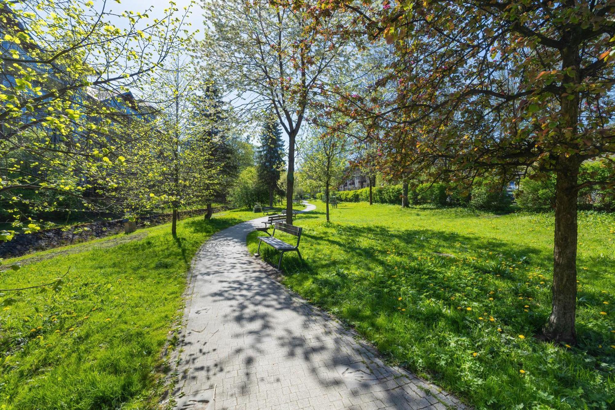 Rent Like Home - Sienkiewicza Zakopane Dış mekan fotoğraf