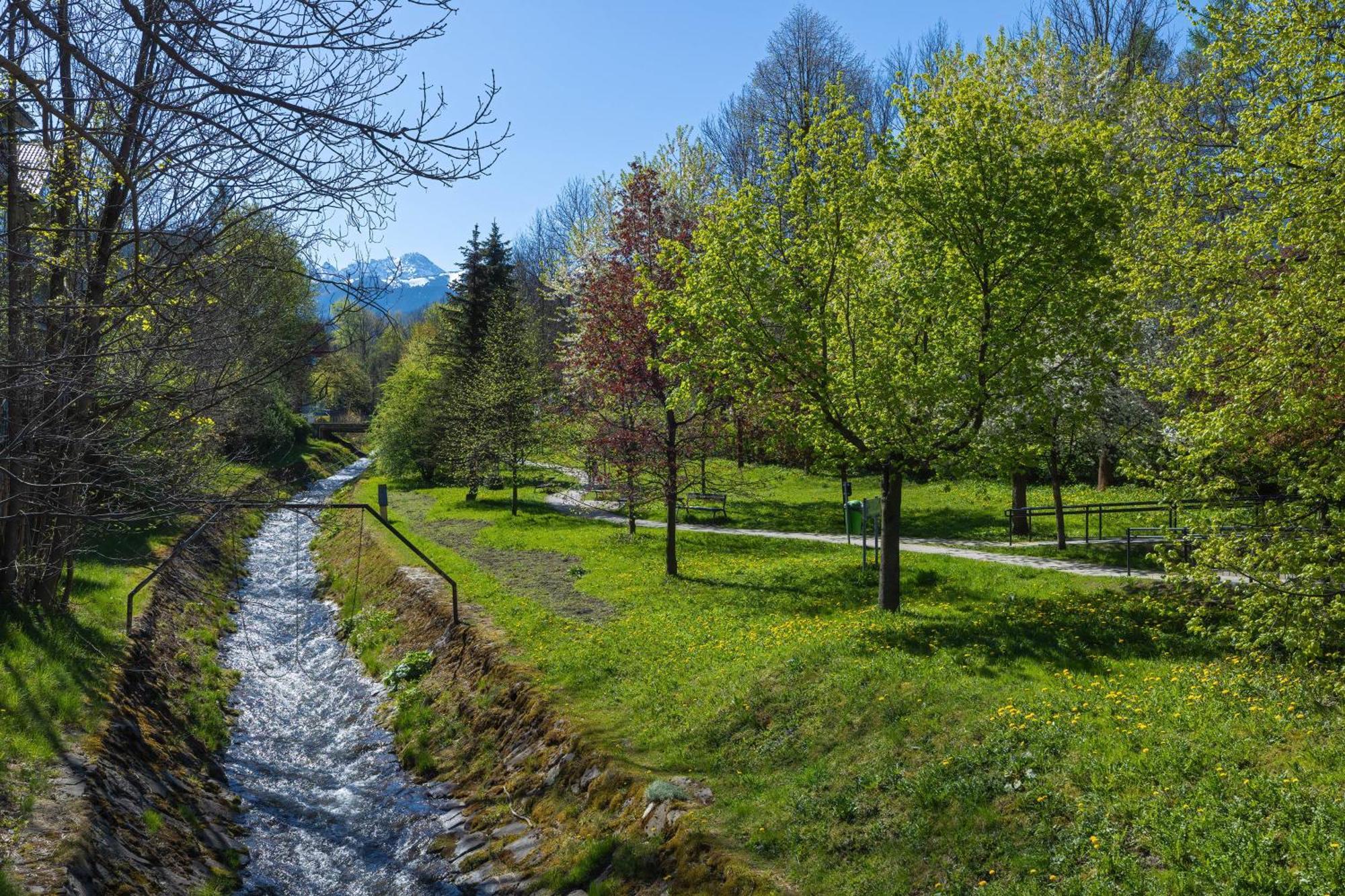 Rent Like Home - Sienkiewicza Zakopane Dış mekan fotoğraf